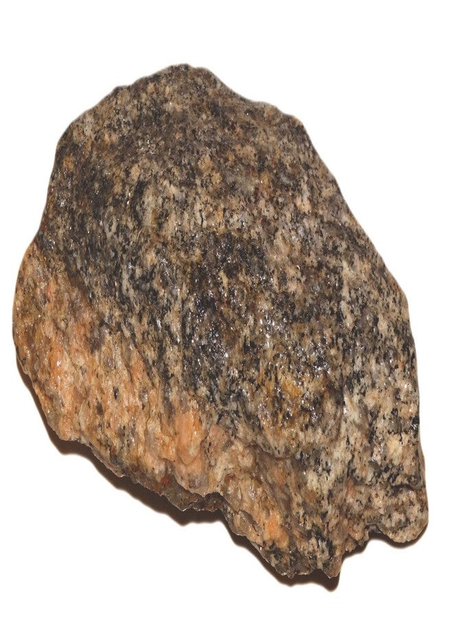 Maalavya صخور مالافيا جنيس 3 كجم لـ |زينة أحواض السمك|إعداد أحواض الشعاب المرجانية|ديكور الحدائق|حصى حجري مائي. - Image 3